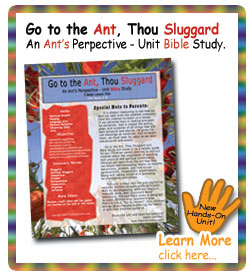 Go to the Ant, Thou Sluggard